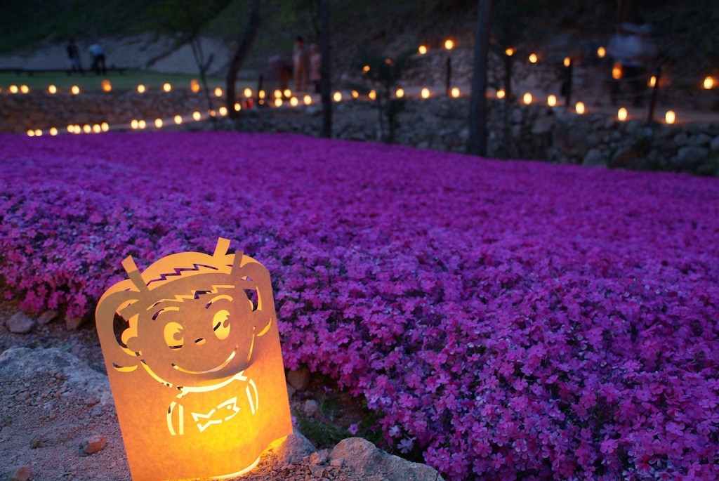 夜の芝桜祭りの写真