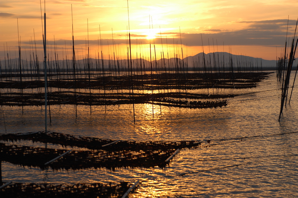 有明海の夕日の写真