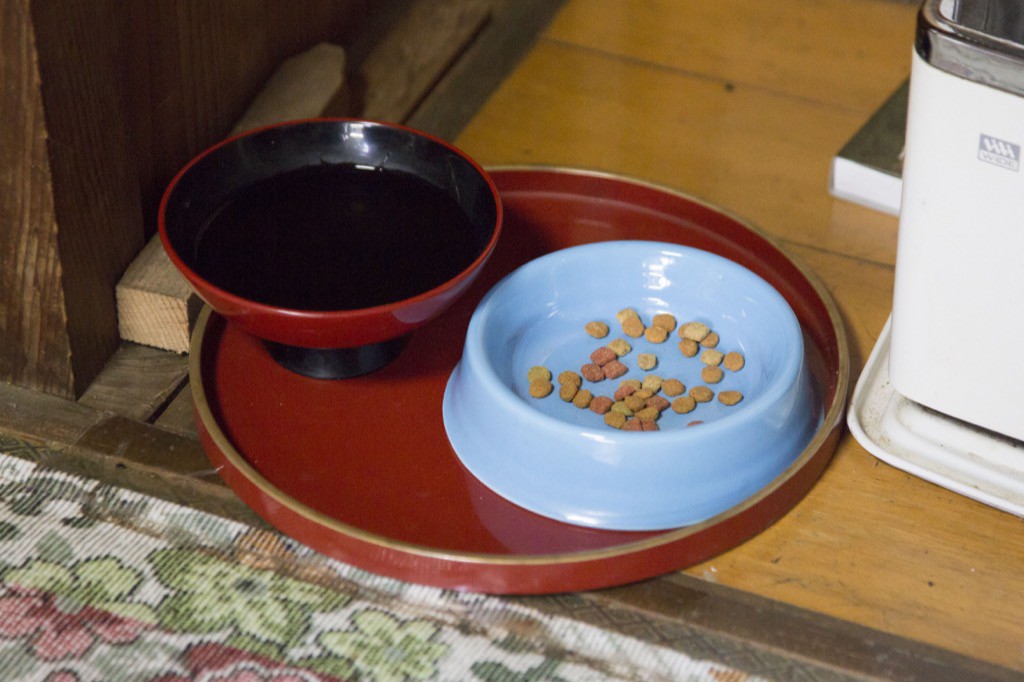巻物では猫のお茶碗も漆