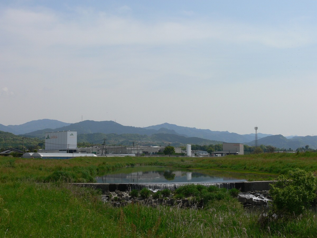 のどかな田園風景