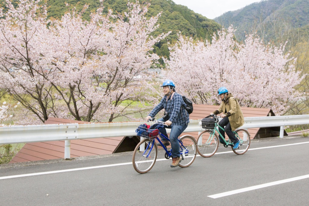 桜の横を疾走