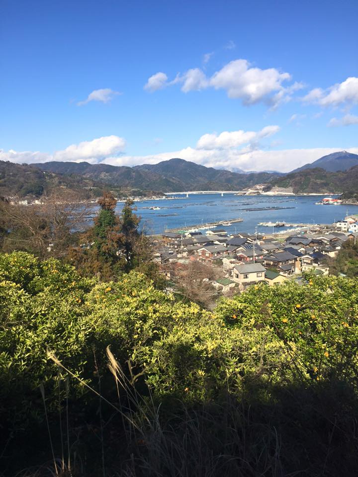 九島の風景イメージ