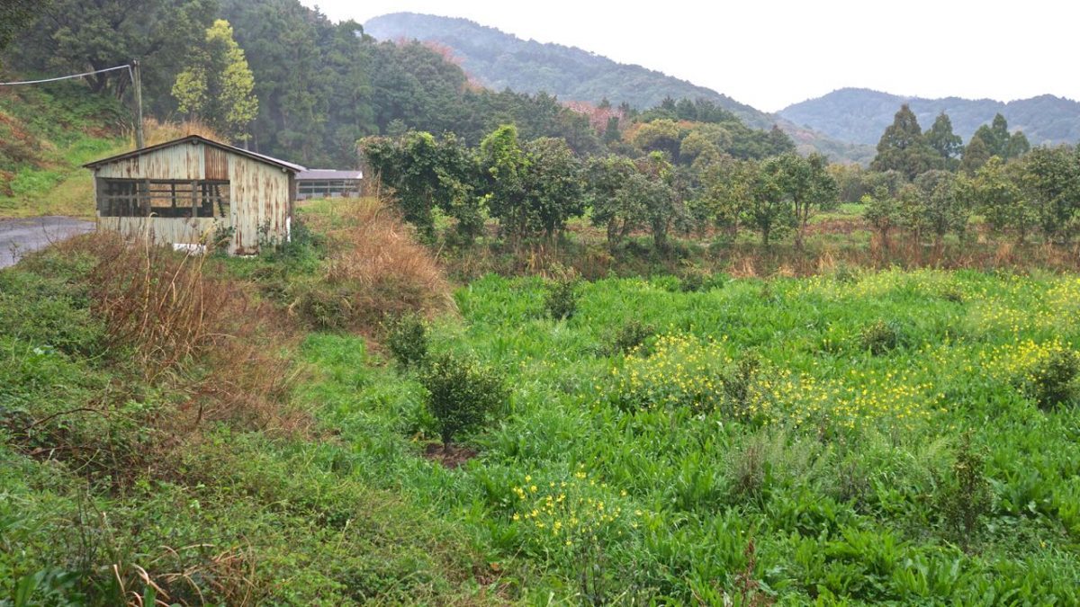 いちえん農場風景
