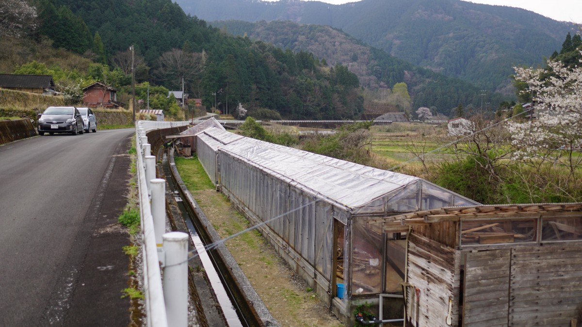 四万十中流域の山間部