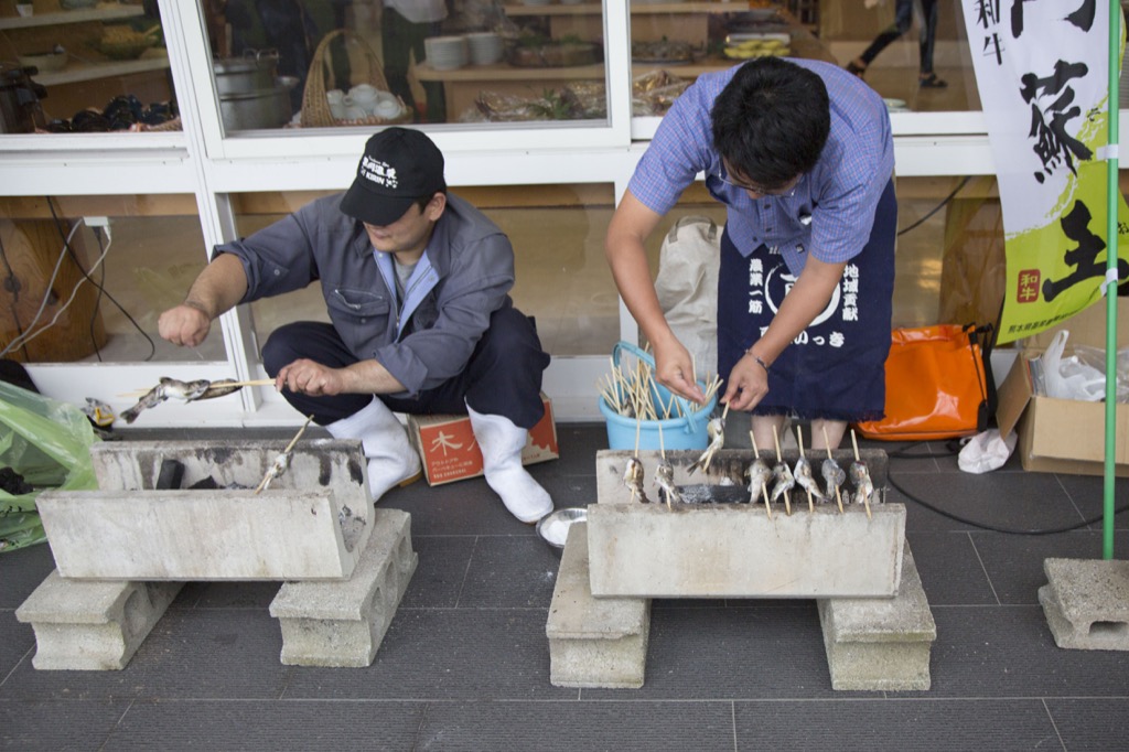 筑後川のアマゴ