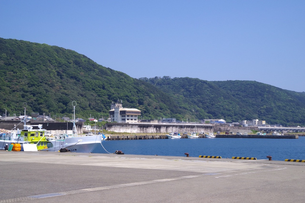 室戸漁港遠景