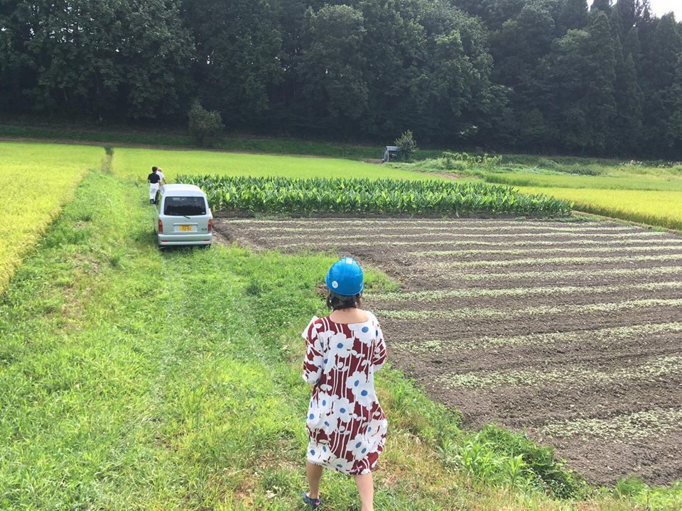 三条スパイス研究所　ウコン 山崎さん