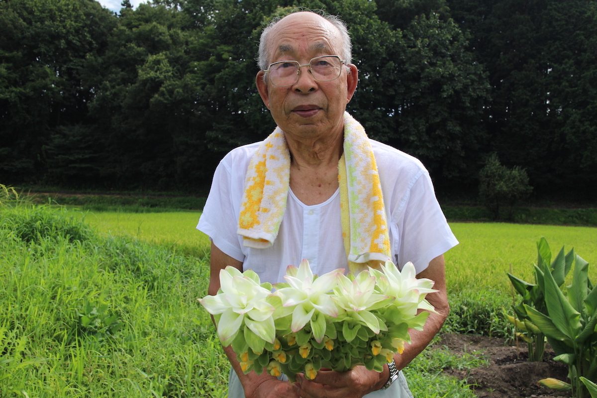 越冬ウコンに花咲かす87歳ウコン栽培 山崎一一さん しゃかいか