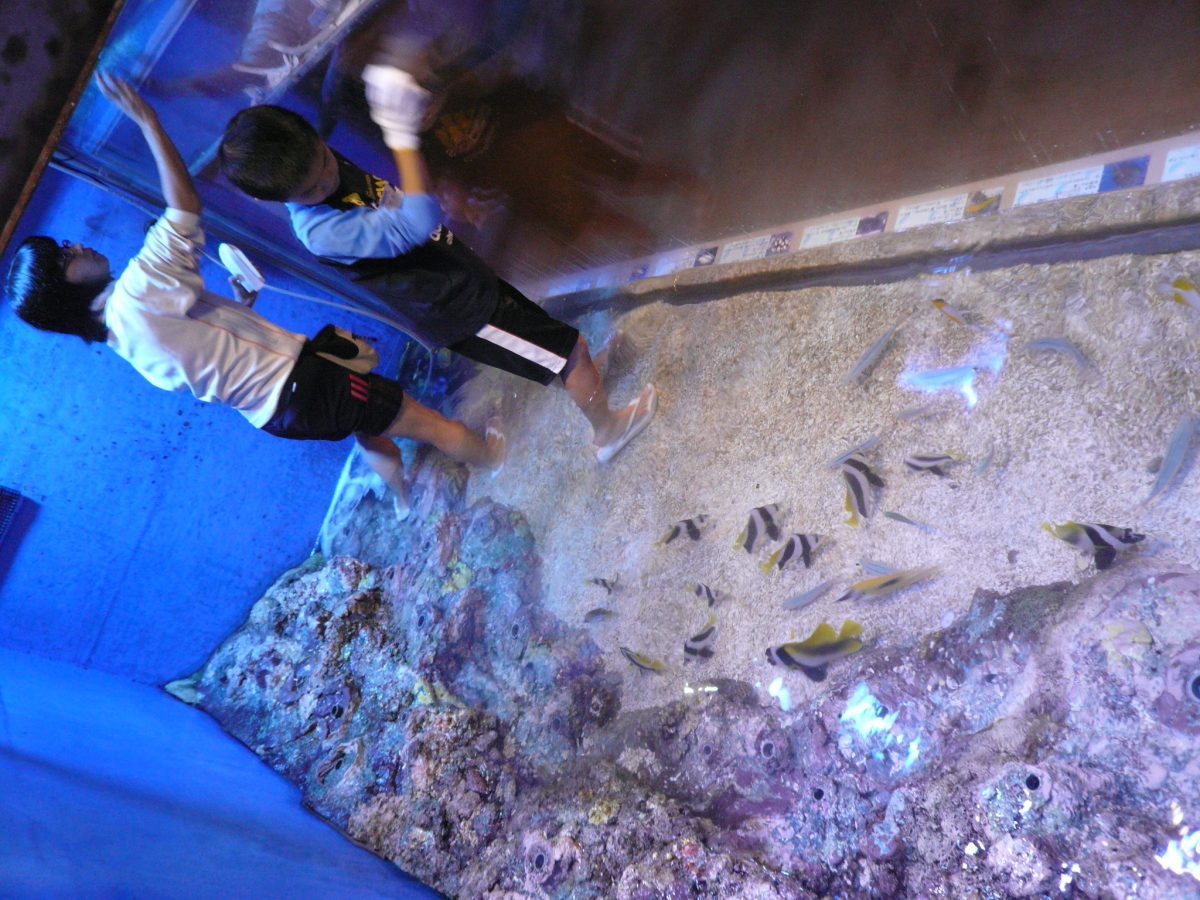 竹島水族館